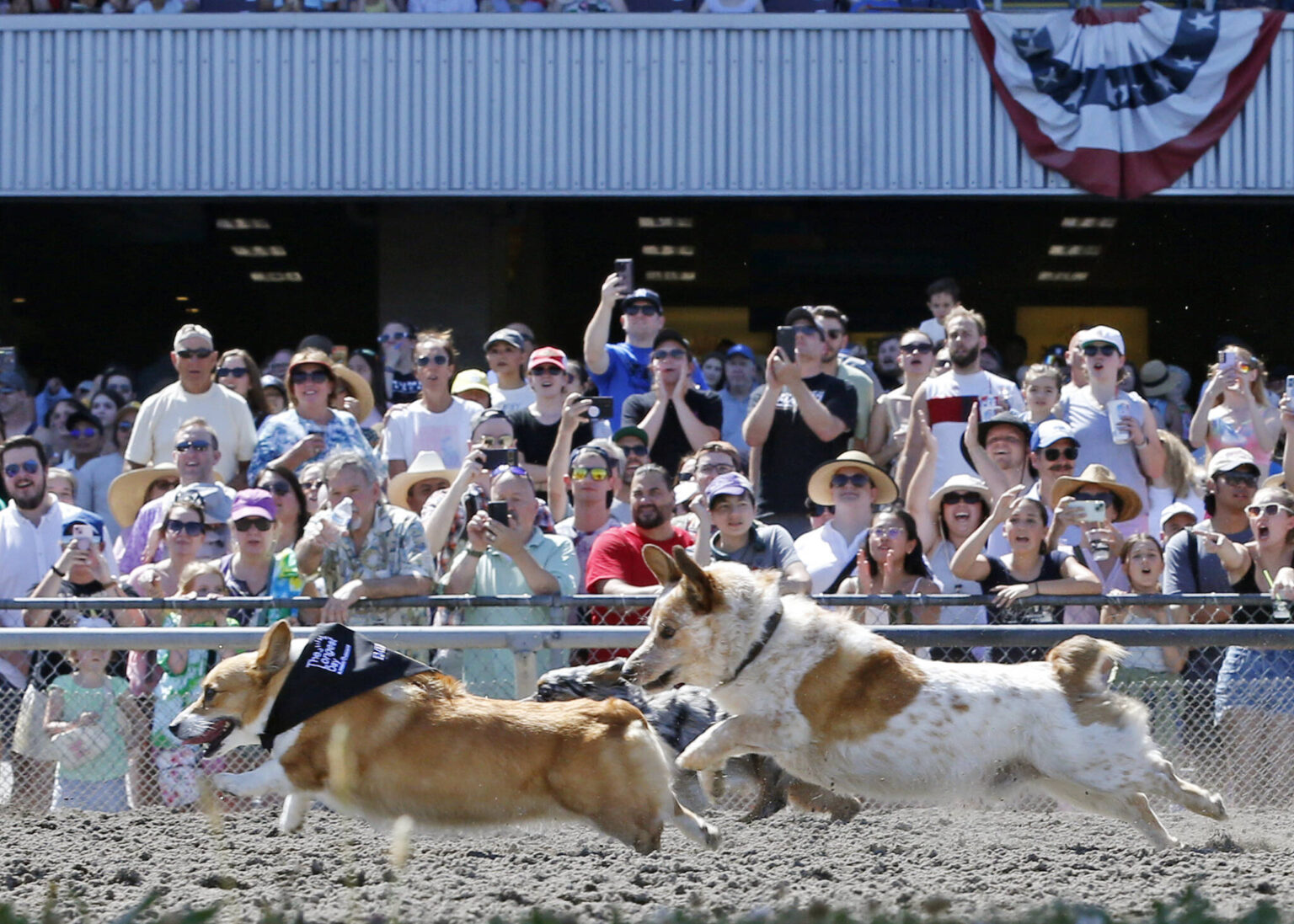 Races 2024 Emerald Downs