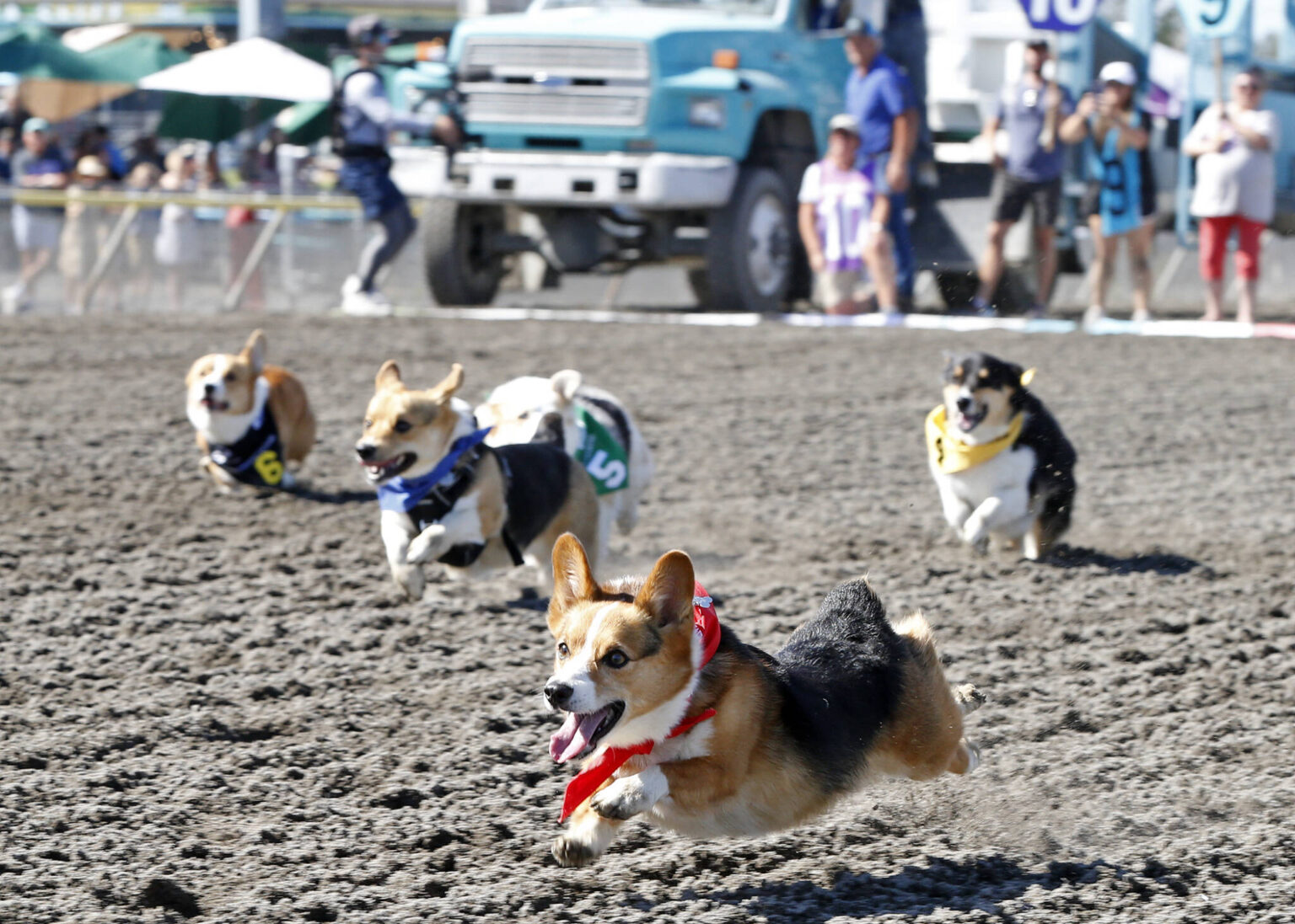 Races 2024 Emerald Downs