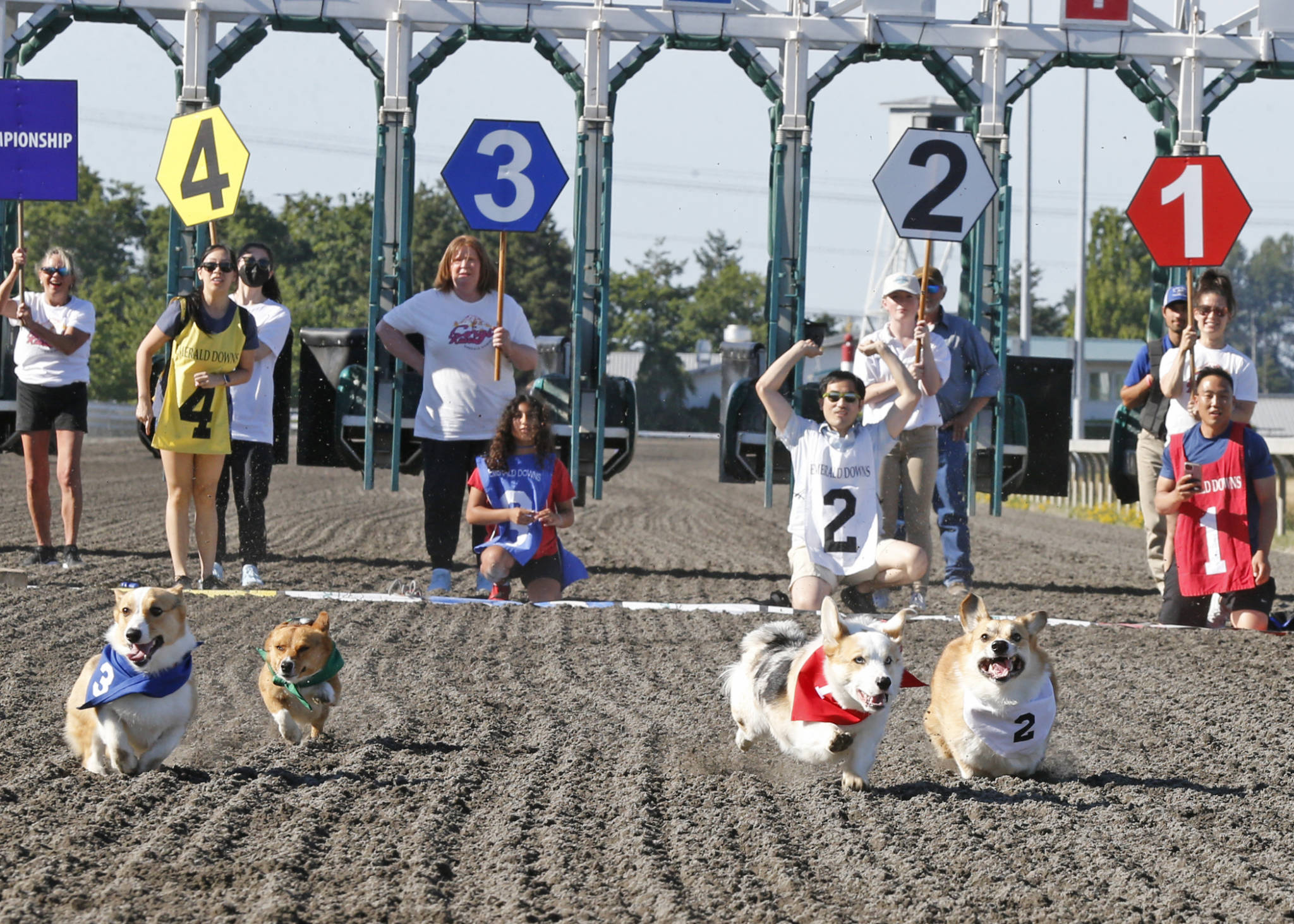 Races 2022 Emerald Downs