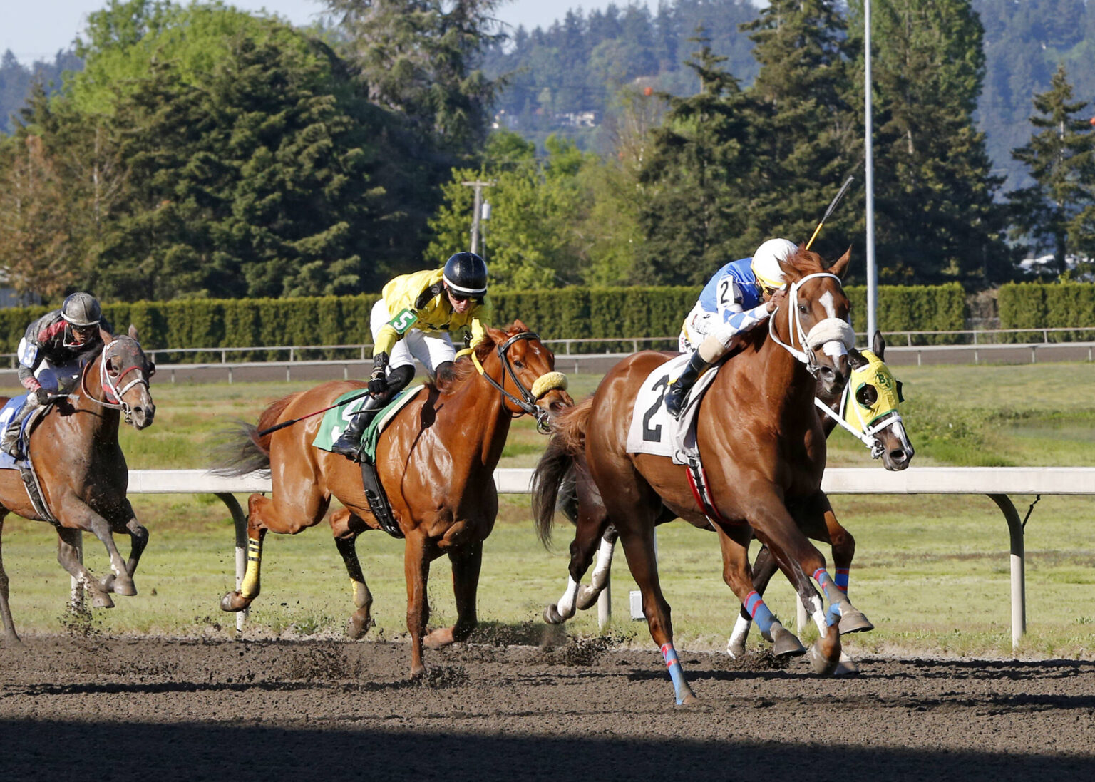 Emerald Downs WrapSunday, May 12 Emerald Downs