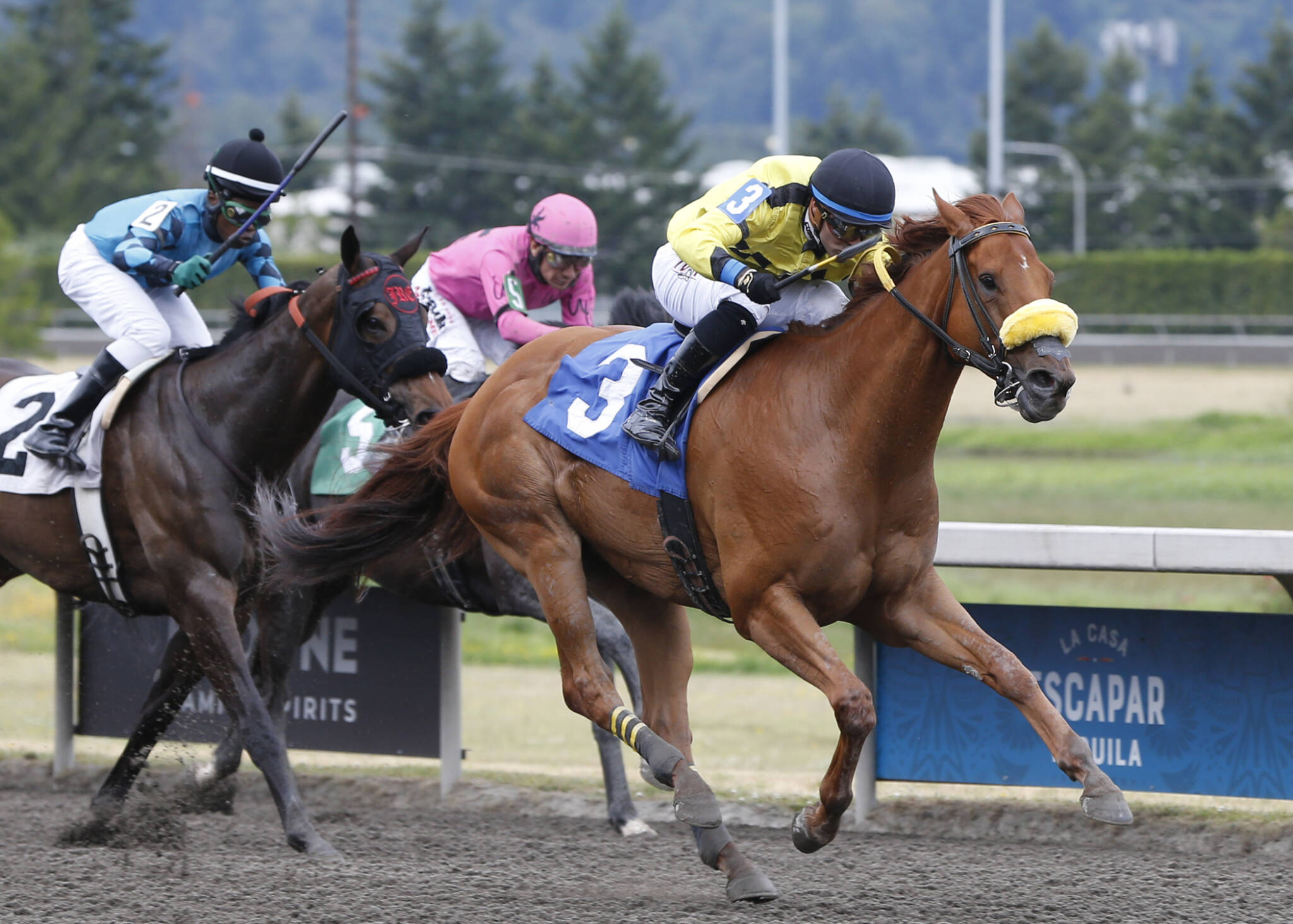 Emerald Downs Wrap-Saturday, June 29 - Emerald Downs