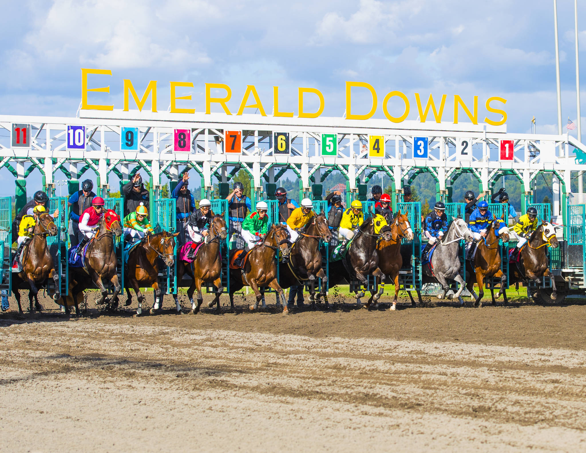 Gate - Emerald Downs