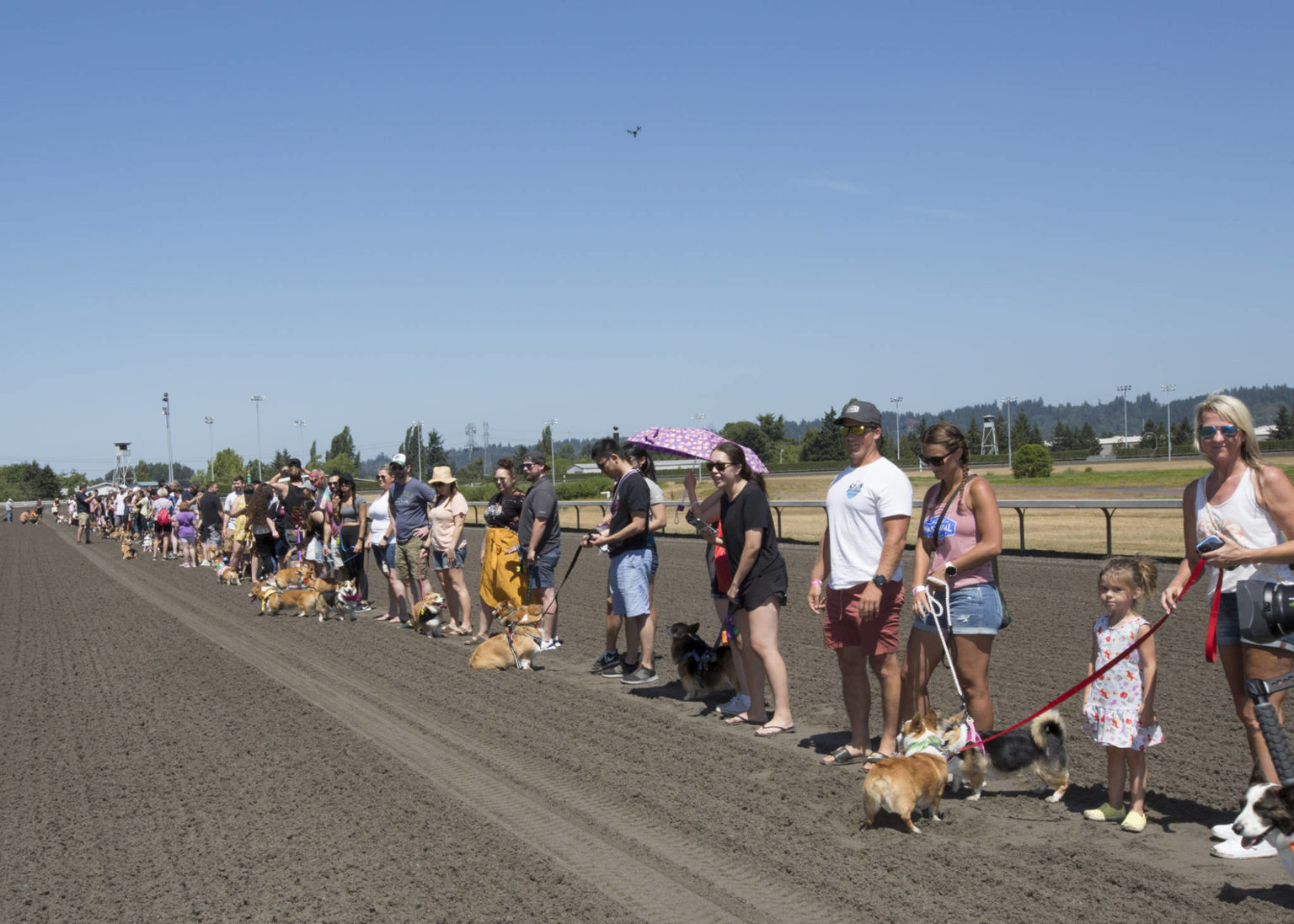 Races Emerald Downs